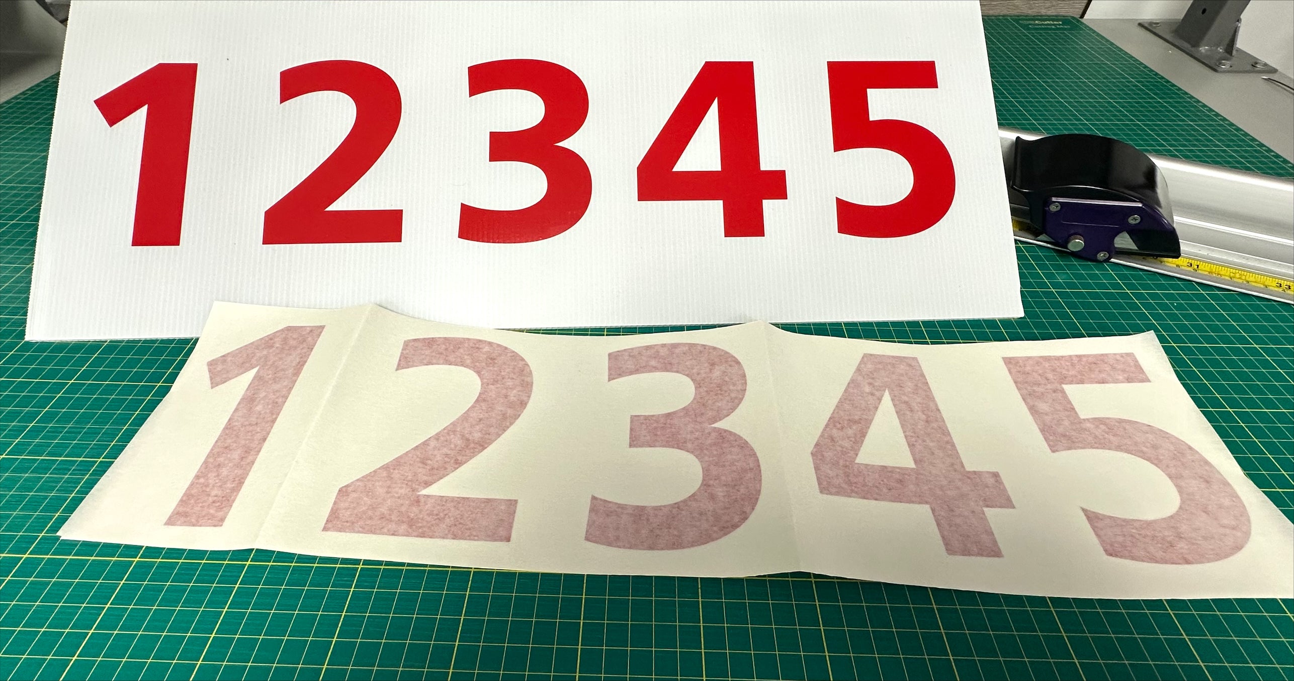 Set of 5 Digit Membership Numbers